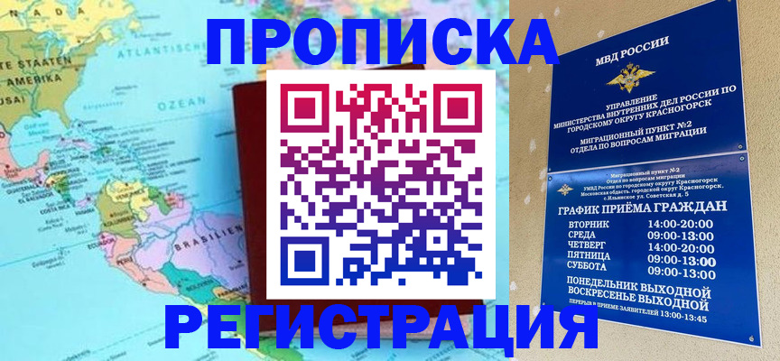 прописка для работы в Пионерском